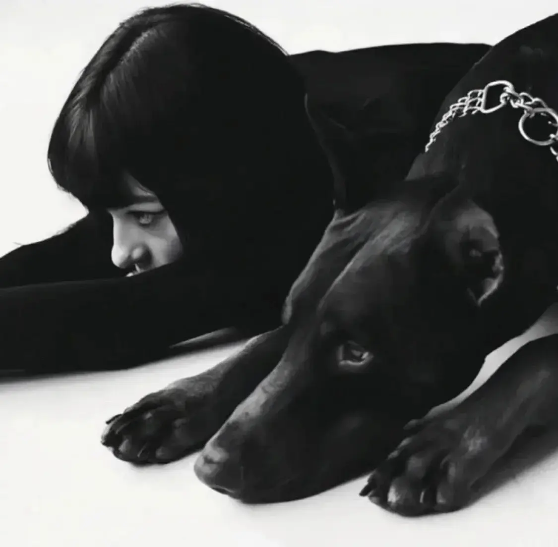 西檬之家brat属性是什么?你的字母圈风格 一