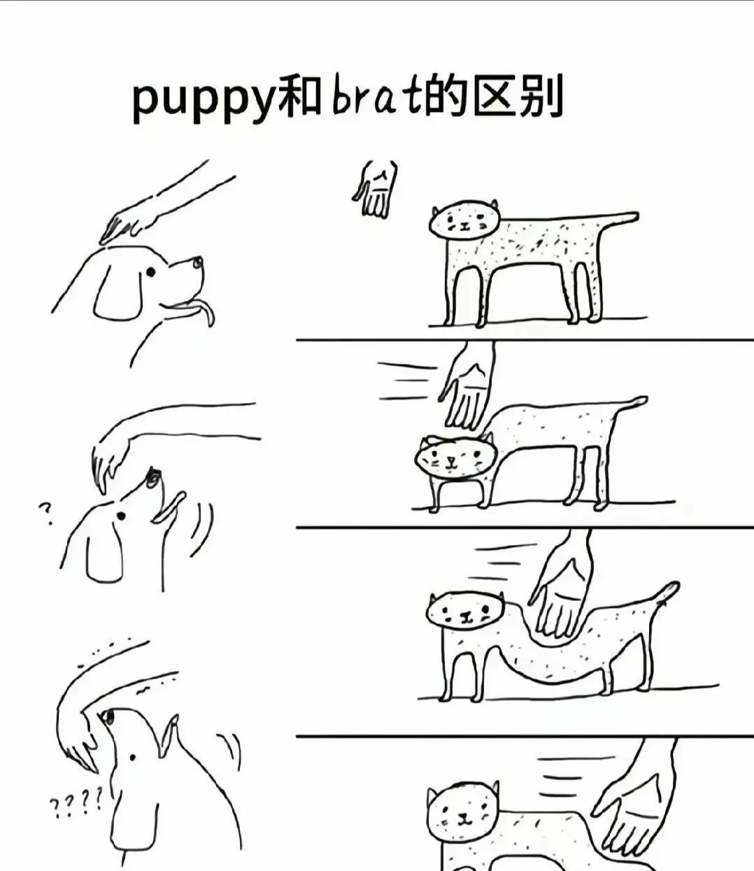 西檬之家字母圈新人如何入圈?
西檬之家字母圈是什么意思? 一