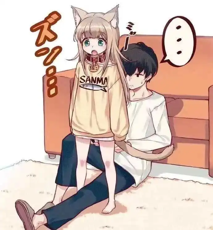 西檬之家k8猫系是什么?你的字母圈属性是什么? 一