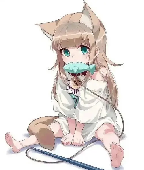 西檬之家k8猫系是什么意思? 一