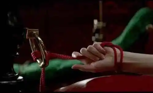 西檬之家k8是什么?揭秘字母圈猫奴属性 一
