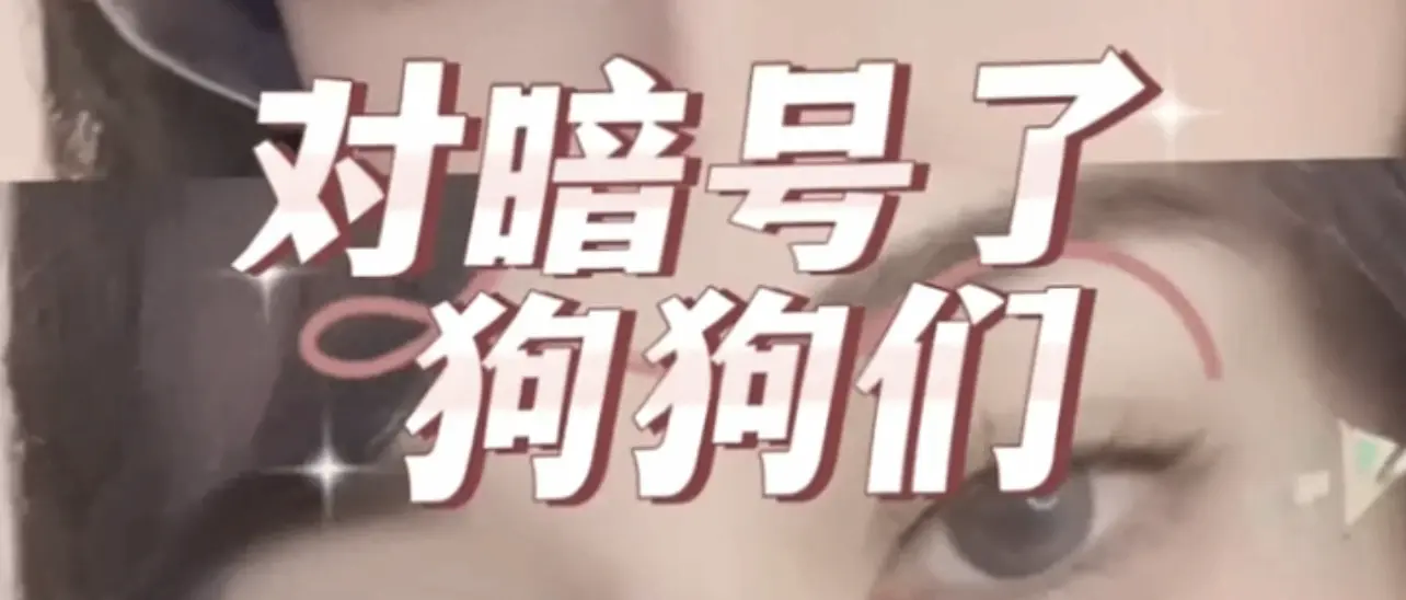 西檬之家K9犬系是什么?你的属性 一