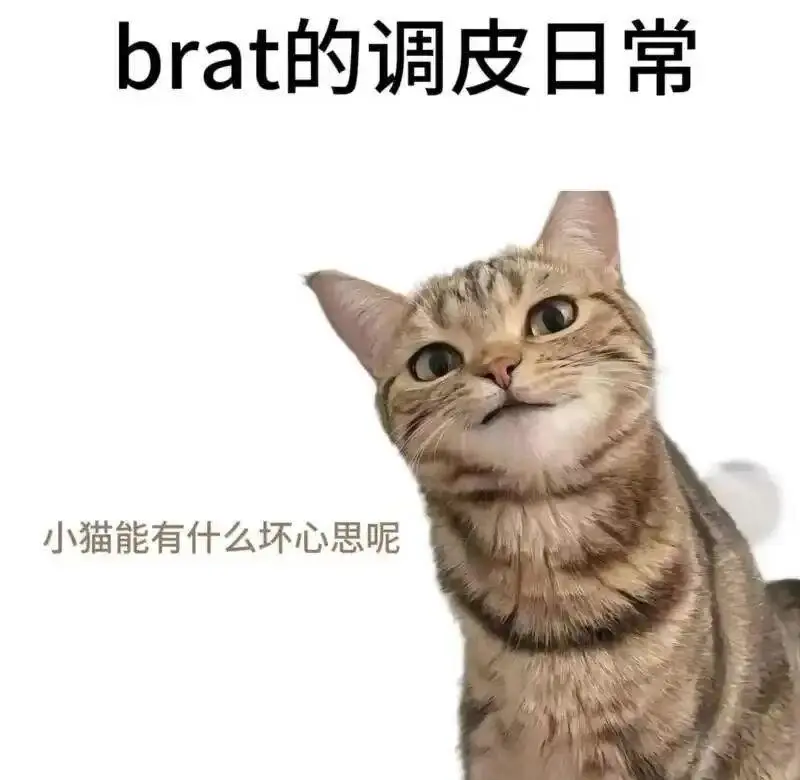 西檬之家Dirty Talk是什么? 一