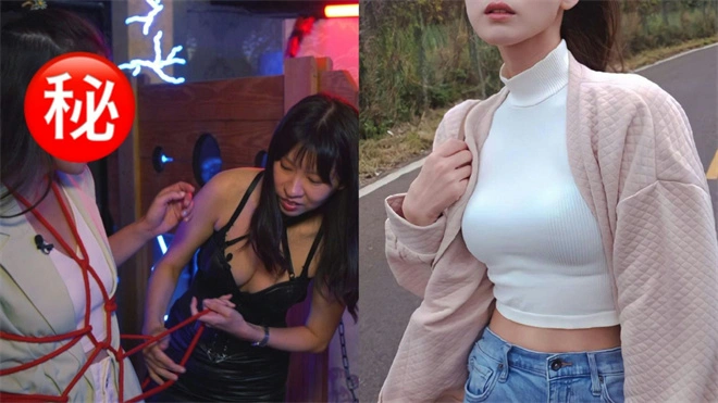 西檬之家K9是什么?你的字母圈属性是猫系还是犬系? 一