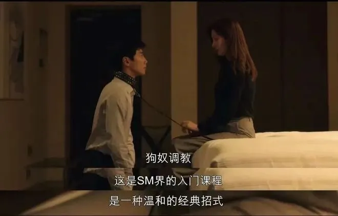 西檬之家什么是s属性? 一