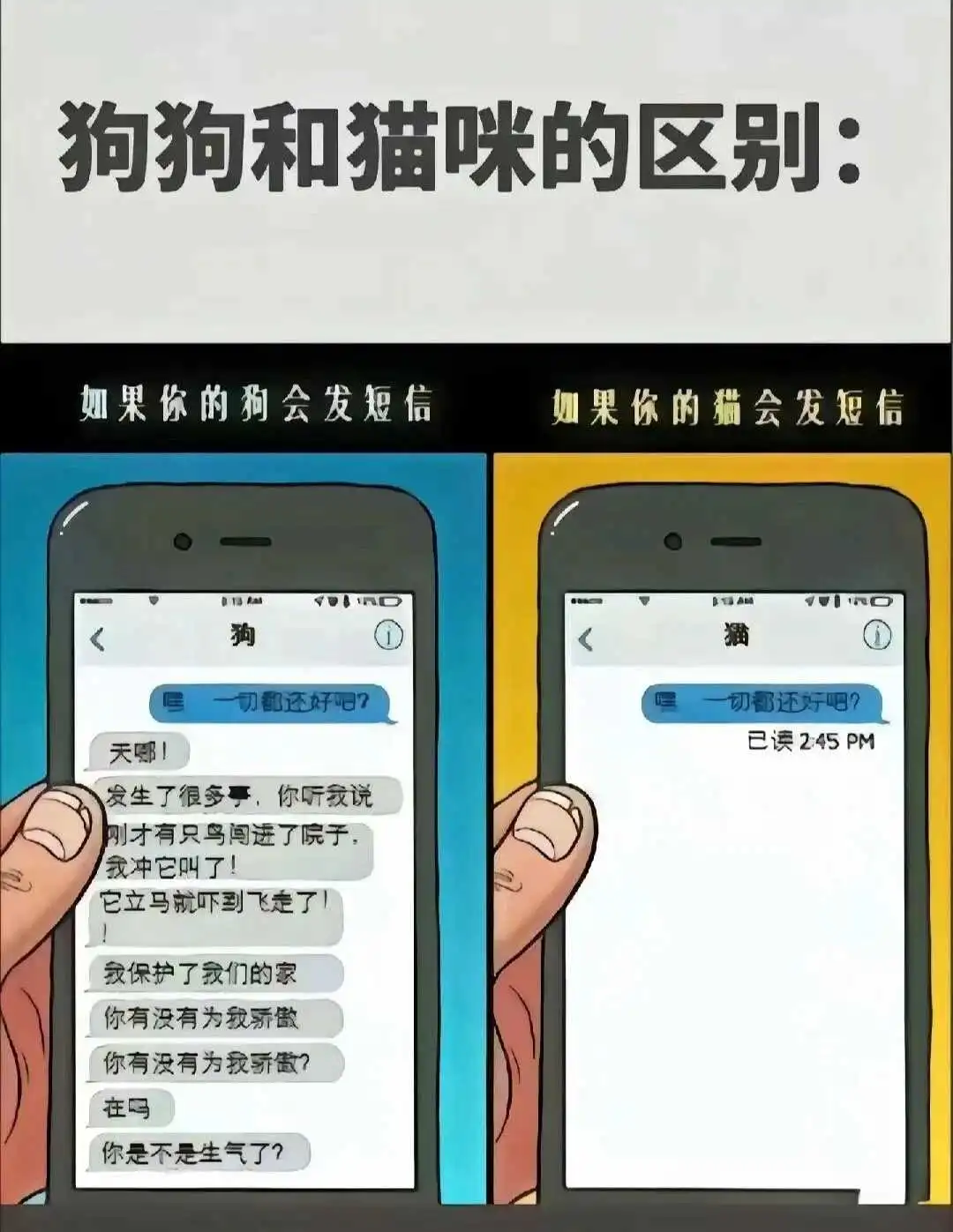 西檬之家ddlg是什么?你的字母圈属性是? 一