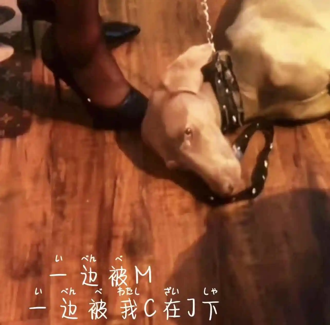 西檬之家字母圈的Brat属性是什么意思? 一