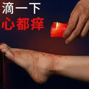 西檬之家字母圈K9是什么? 一