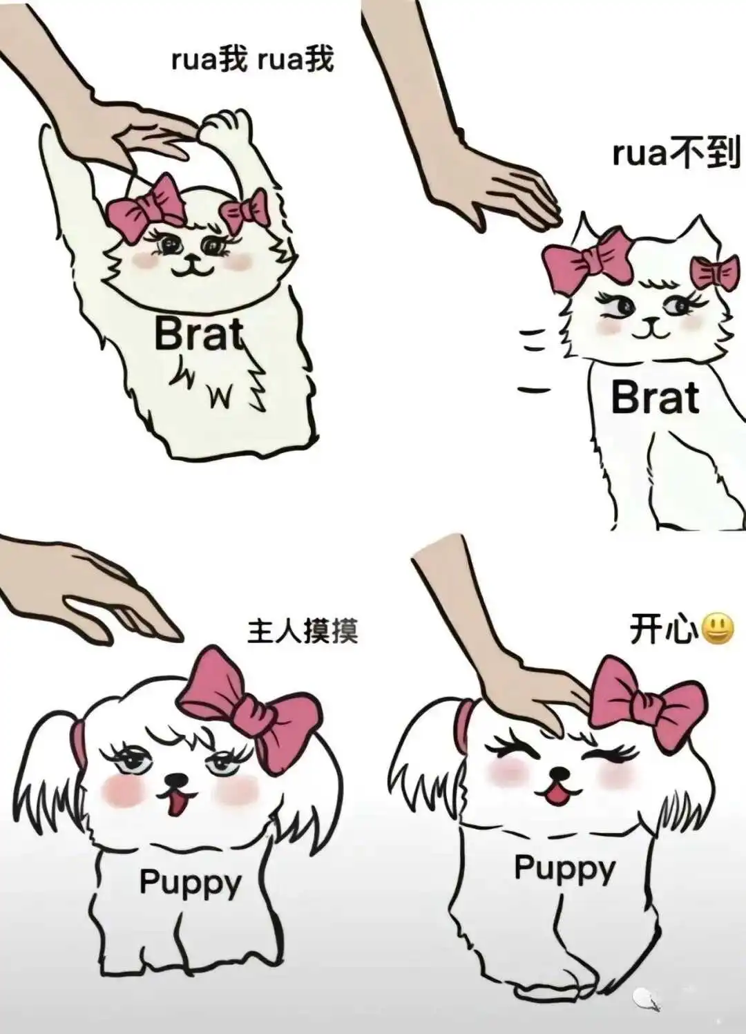 西檬之家字母圈入圈指南:新人如何安全开启第一步? 一