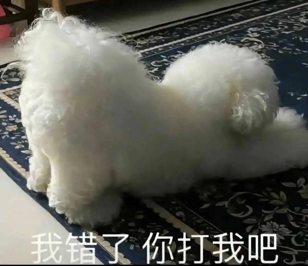 西檬之家斯慕圈是什么?带你入坑 一