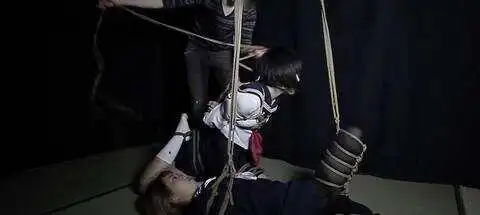 西檬之家字母圈的女王是什么意思 一